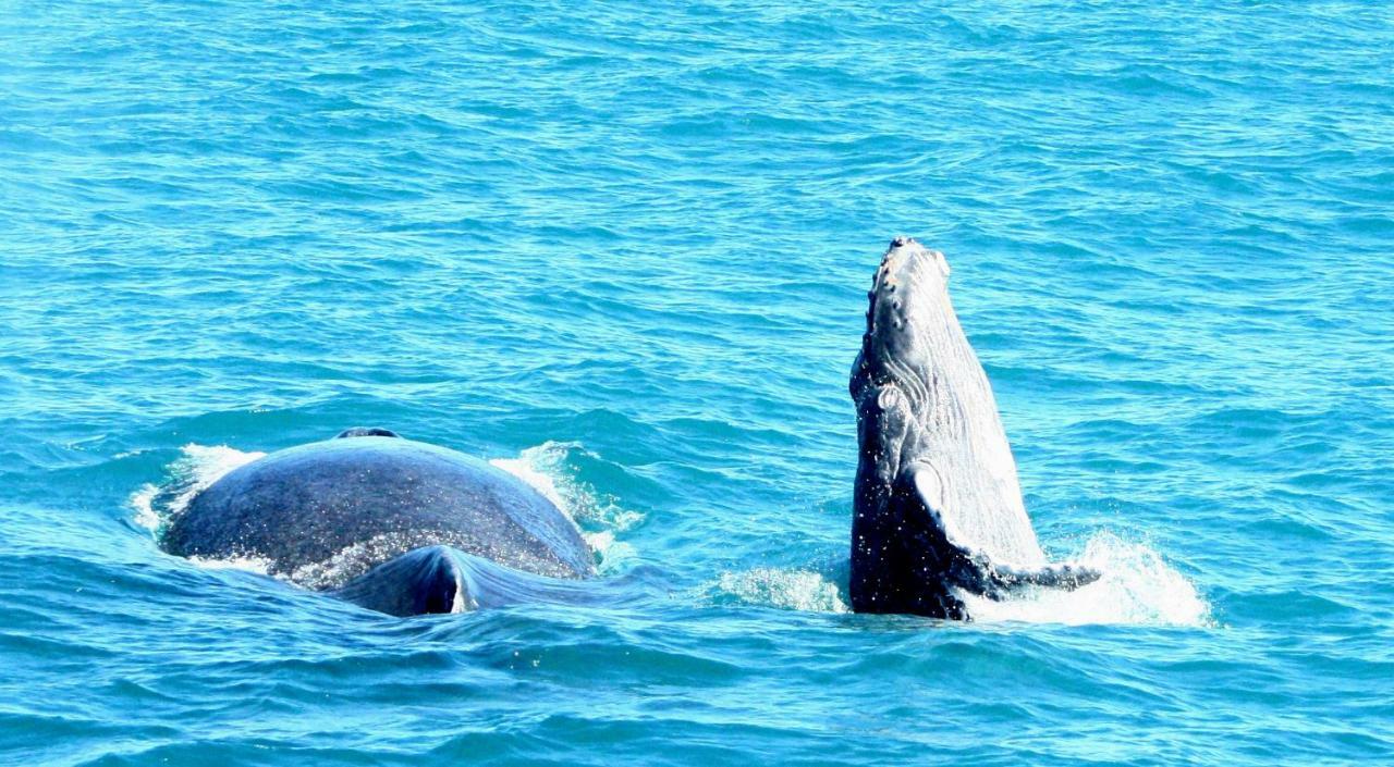 Pousada Areia Preta Cumuruxatiba Kültér fotó