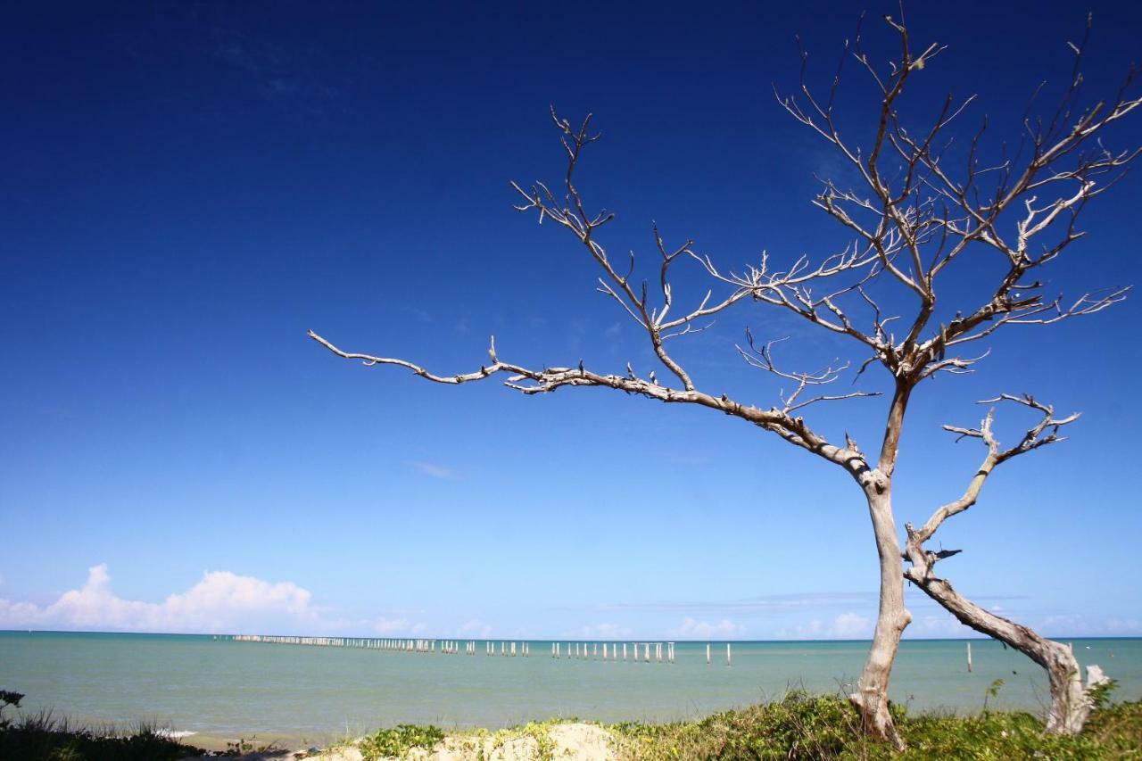 Pousada Areia Preta Cumuruxatiba Kültér fotó